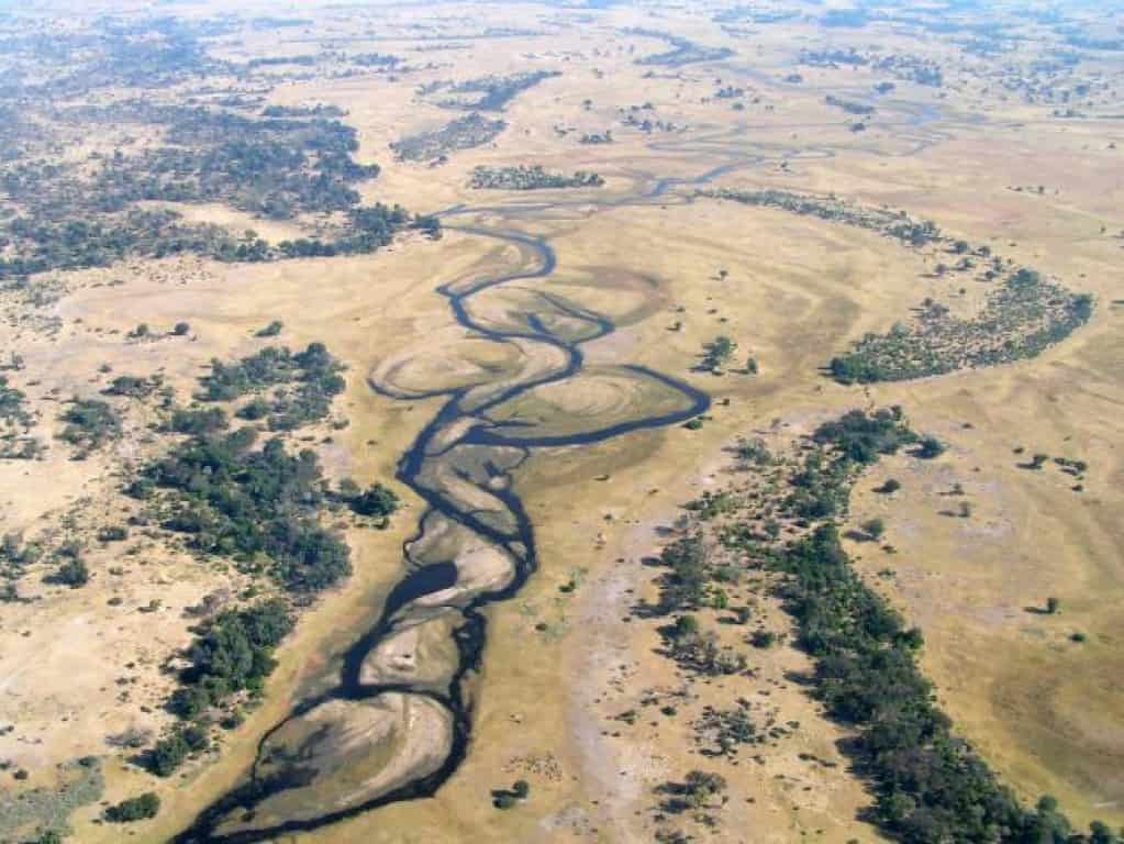 Botswana landscapes - the Okavango Delta Swamps