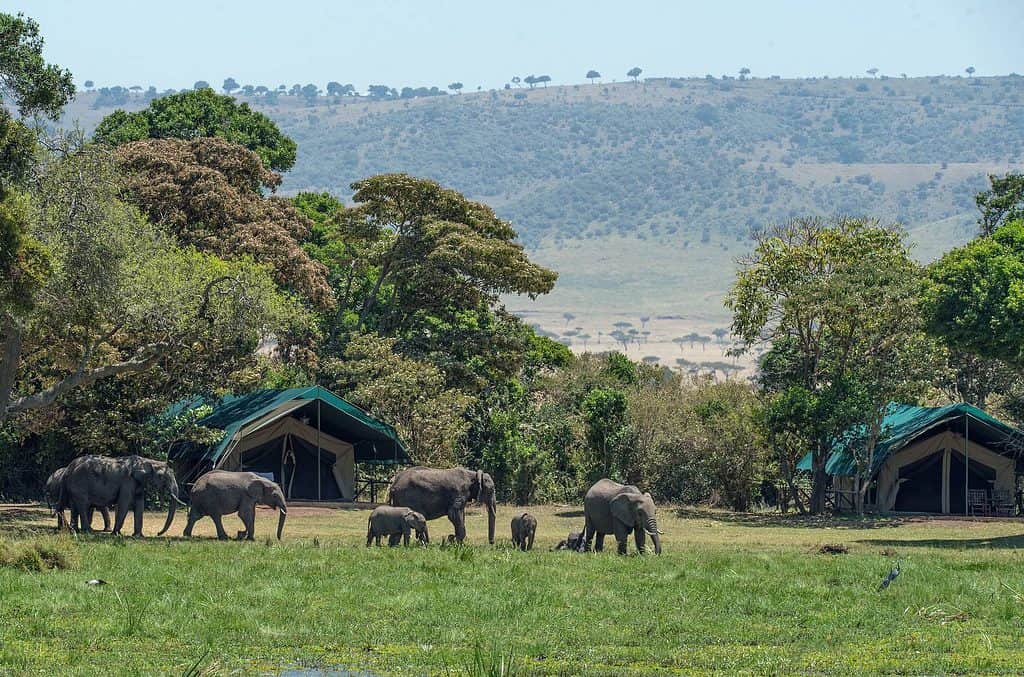 Camping in Kenya