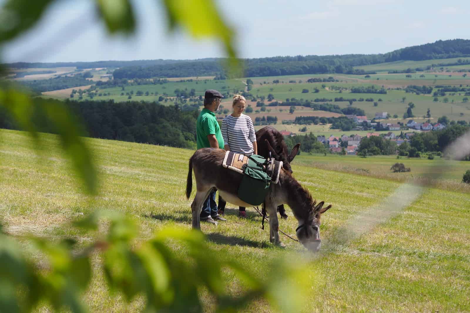 Donkey Hike in Saarland © Tourismus Zentrale Saarland, oooyeah