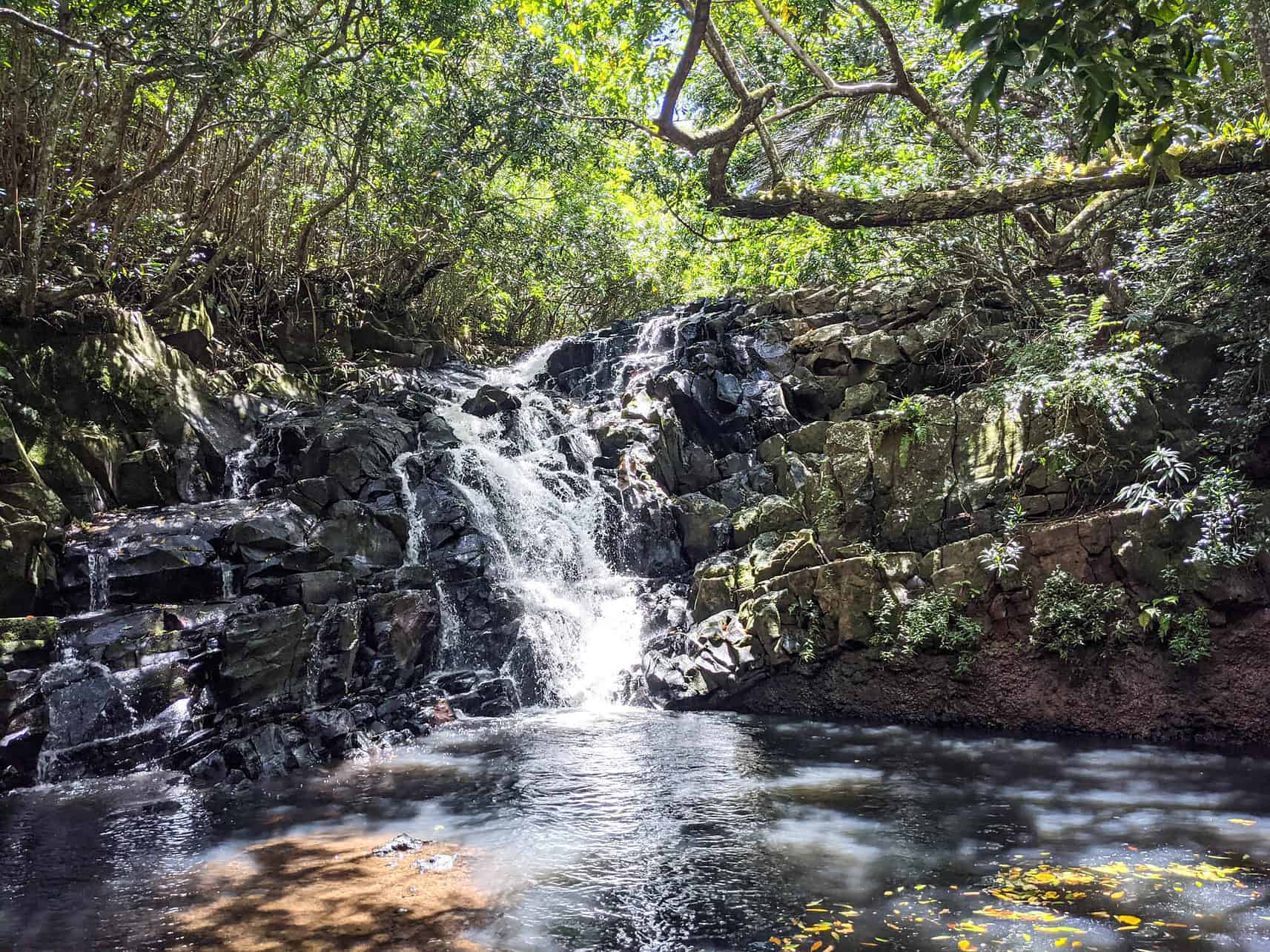 Waterfall in Heritage Reserve in Mauritius
