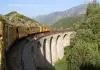 Le petit train jaune in France