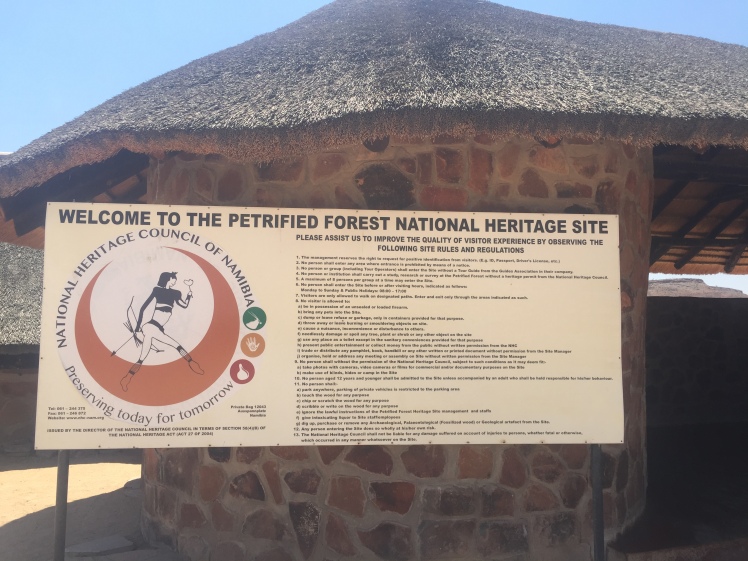 The Petrified Forest National Heritage Site in Namibia