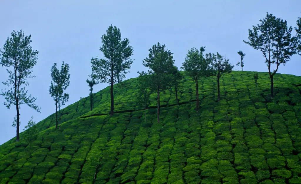 Hill stations in Kerala, India