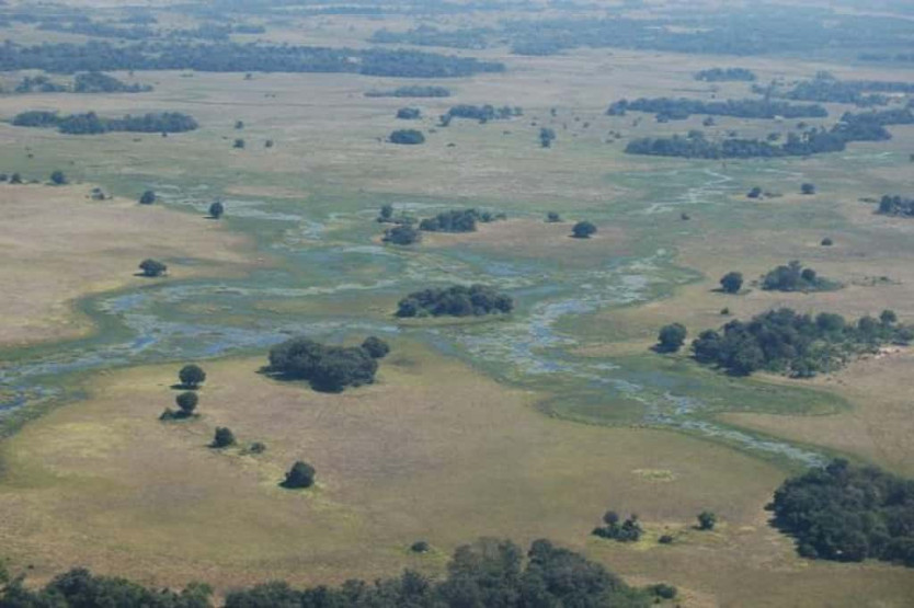 Landscapes in the Okavango Delta, Botswana