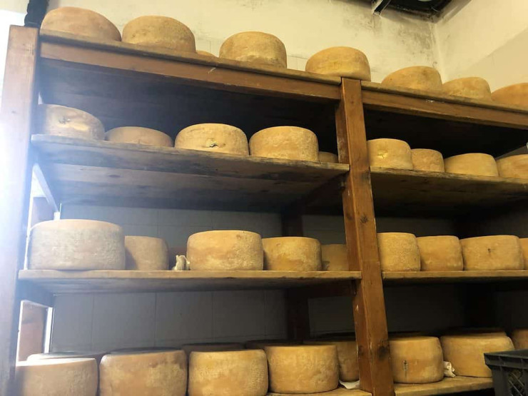 Bacciotti - Italian cheese