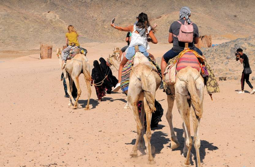 Riding camels at a visit to a Bedouin village in Hurghada, Egypt.