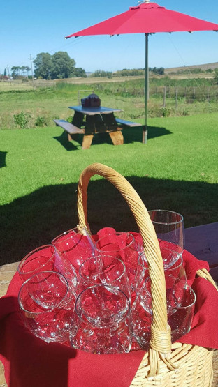 Wine tasting at Middelvlei Stellenbosch Wines, South Africa