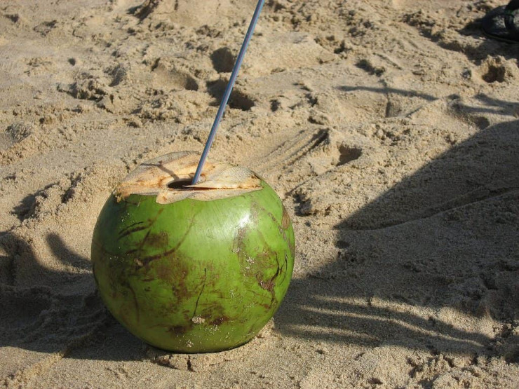 Enjoy a fresh coconut drink on the beach in Cambodia