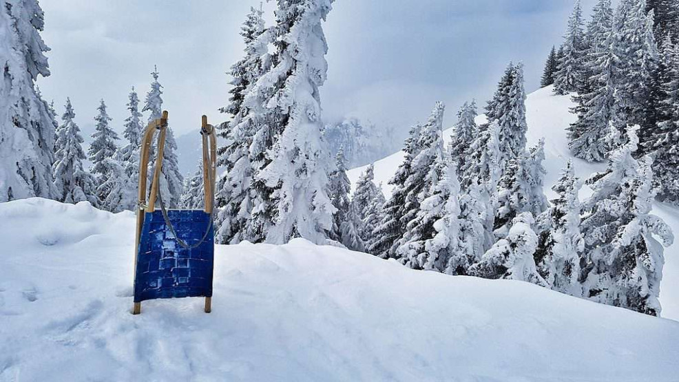Tobogganing in Ski Juwel Austria